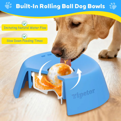 No-Spill Dog Bowl